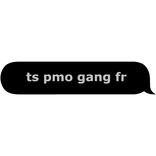 ts pmo gang fr
