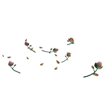 ✨Tulip Flower Aura-Pastel