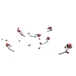 ✨Tulip Flower Aura-Pink