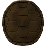 Turtle's Brown Shell
