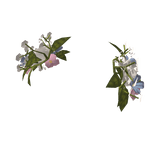 Two times Spring Crown [Forsaken]