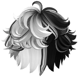 Two-Tone Fluffy Curly Boy Hair (Black & White)