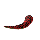 Tyrannosaurus Rex Tail (Red Trex)