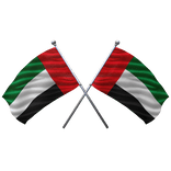 🇦🇪 UAE Shoulder Double Flag