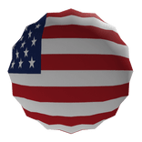 United States Pin