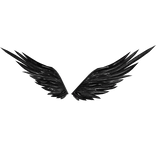 Untitled Brushed Charcoal Wings