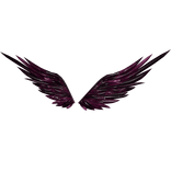Untitled Magnetic Magenta Wings