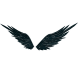 Untitled Teal We Meet Again Wings