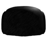 Ushanka Hat