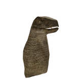 Velociraptor