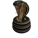 Venom Cobra Snake