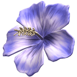 Violet Hibiscus Summer Hair Flower