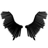 Void Wings