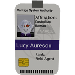 VSA Badge, Field Agent, Held