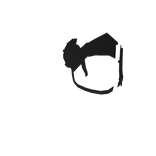walkirie neon 