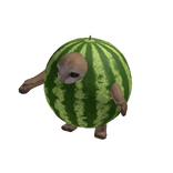 Watermelon Cat