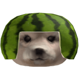 Watermelon Dog Head