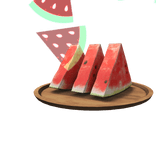 Watermelon Slices