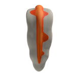 Wave Axolotl Rider Axo Tail