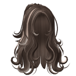 🍀Wavy Half Up Hair (Brown/Blonde)