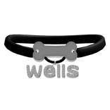 ♡ wells custom ɞ . ˖