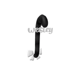 wesley's kitty ฅฅ