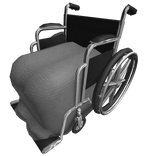 Wheel Chair