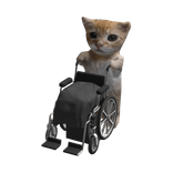 Wheelchair El Gato Cat