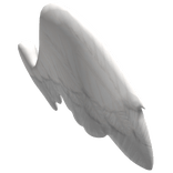 White Alicorn Wings