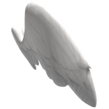 White Alicorn Wings