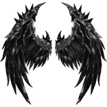 White and Black Angel WIngs