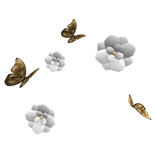 ♡White & Gold Butterfly Flower Back Aura♡