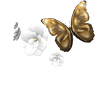 ♡White & Gold Butterfly Flower Hair Clips♡