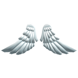 White Angel Wings 