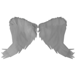 White Angel Wings