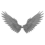 White Angel Wings