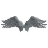 White Angel Wings