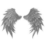 White Angel Wings