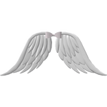 white angel wings