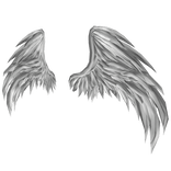 White Angel Wings