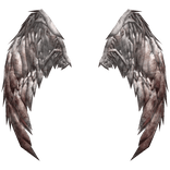White Angelic Dirty Wings 