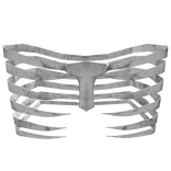 White Bone Body Ribs