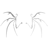 White Bone Wings