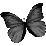 white butterfly mask 
