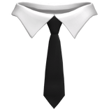 White Collar With Black Tie