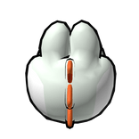 White Dinosaur Hooper - [Yoshee] - [SUPER M HOOPS]