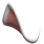 White Dog ear (L)