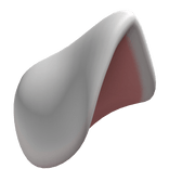 White Dog ear (R)