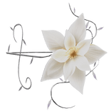 White Flower Arm Band [Left]