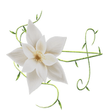 White Flower Arm Band [Right]